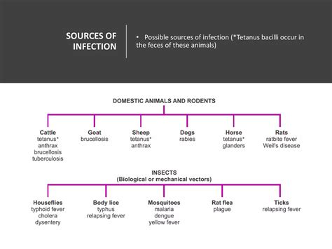 Microbial Pathogenicity Ppt