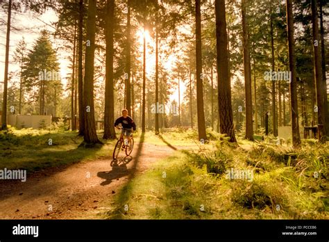 Cycling At Centre Parcs In Wiltshire Stock Photo Alamy