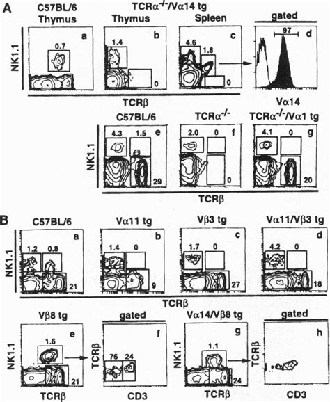 FACS Analysis Of NK T Cells In Various TCR Tg Mice A A C57BL 6