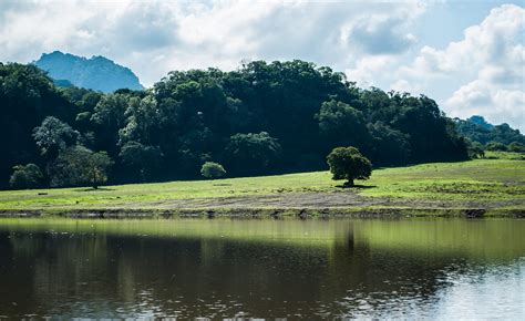 Paisaje Rbol Naturaleza Foto Gratis En Pixabay Pixabay