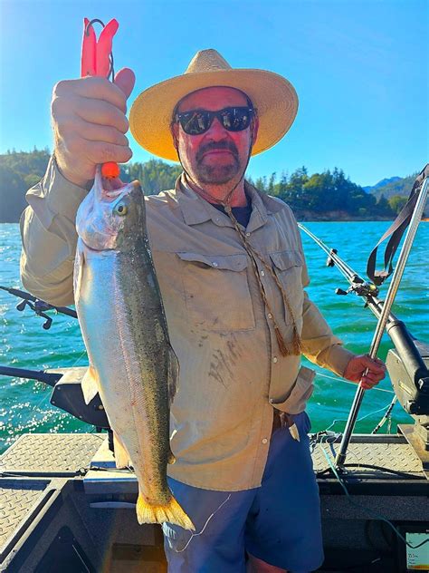 Shasta Lake Fish Report Shasta Lake Big Shasta Lake Brown Trout