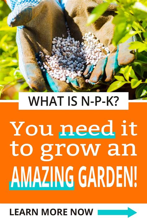 What Is Npk Fertilizer And What Does Npk Do For Plants Easy Garden