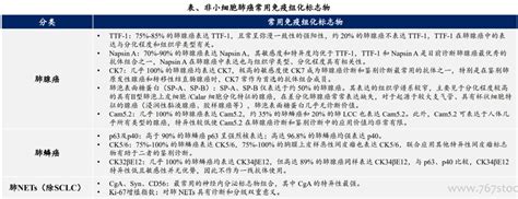 一文读懂：肿瘤诊断的金标准 病理诊断 病理 荧光 细胞 诊断 进行 健康界