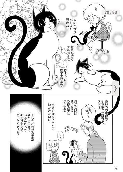 猫の日 ということなので。ほぼ定期で流している「タマのこと」とその後の「ミーさんとクロちゃんのこと」をツイートします。」ふくだもとこ