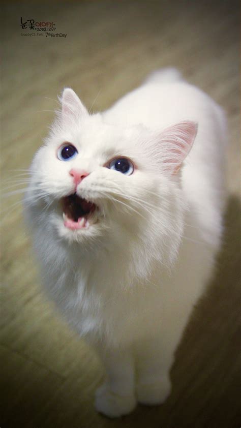 777777777777778 — mel-cat: byulsea: Thank you My Little Friend...