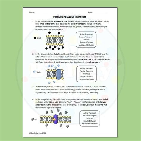 Active And Passive Transport Worksheet For 4th 5th Grade Worksheets Library