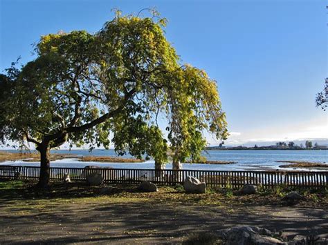 Filberg Heritage Lodge And Park Located In Comox British Flickr