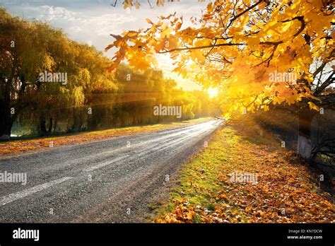 Highway Through The Autumn Forest In Sunbeams Stock Photo Alamy