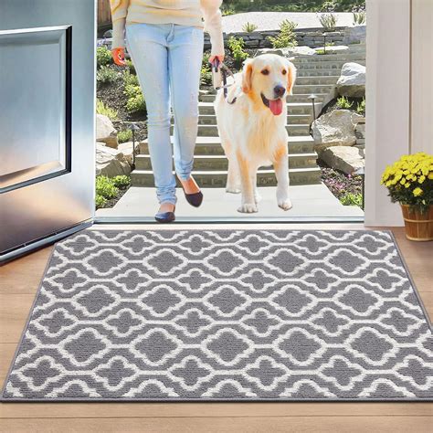 Color G Door Mats Indoor 80x120cm Washable Front Door Mat Inside For