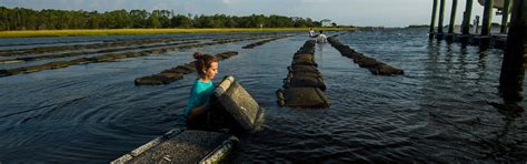 Department Of Physics And Physical Oceanography Uncw