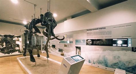 Top 10 Museums in Tashkent to Explore