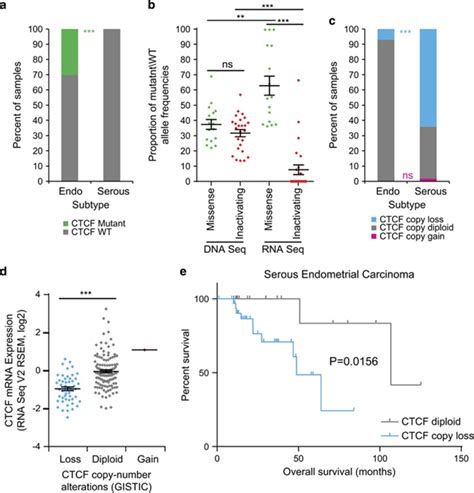 CTCF Genetic Alterations In Endometrial Carcinoma Are Pro Tumorigenic