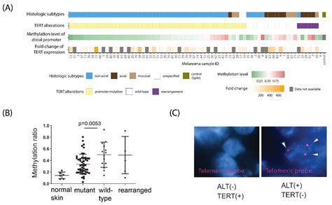 Cancers Free Full Text Targeted Long Read Bisulfite Sequencing