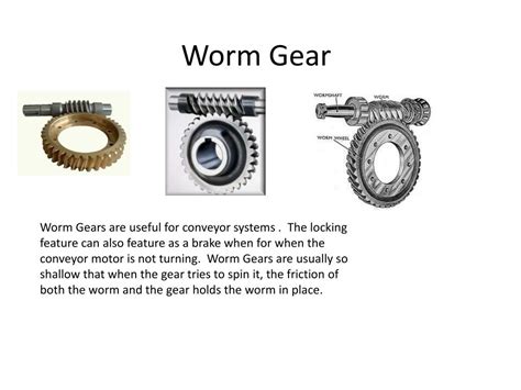 Worm Gear Meaning And Examples At Misty Spahn Blog