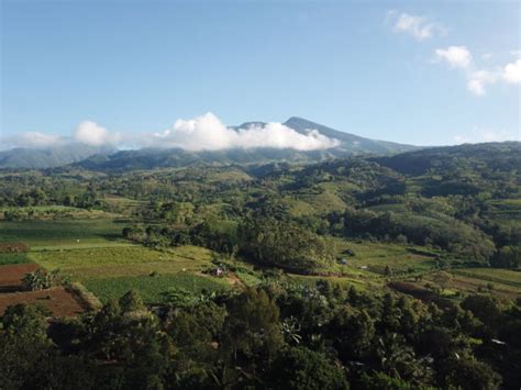 Globe Rewards customers donate P1.6M to plant 16,000 trees in Bukidnon ... 