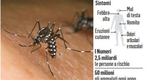 Dengue è in Italia 8 casi in Lombardia e record morti in Bangladesh