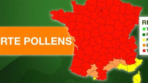 Allergies aux pollens alerte rouge aux graminées dans toute la France