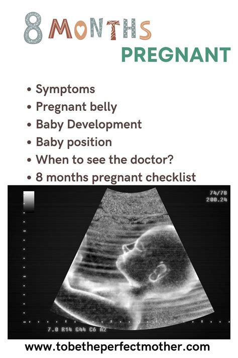 8 Months Pregnant Your Baby Development And What To Expect Artofit