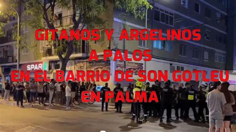 Gitanos Y Argelinos A Palos En El Barrio De Son Gotleu En Palma Youtube