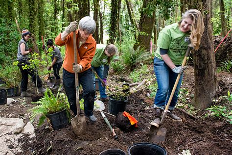 environmental studies  evergreen state college