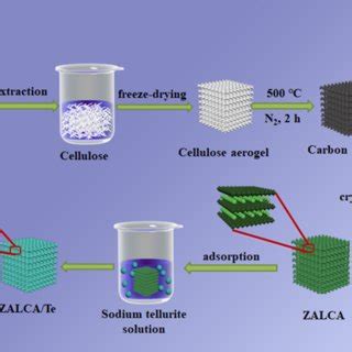 Schematic Illustration Of The Fabrication Process Of The ZALCA