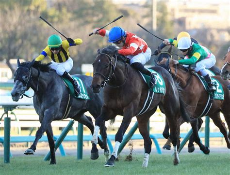 ＜中山11r＞中山金杯を制した斎藤新騎乗のレッドガラン（中央手前）（撮影・西川祐介） ― スポニチ Sponichi Annex ギャンブル