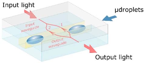 Applied Sciences Free Full Text Optical Waveguide Refractive Index Sensor For Biochemical