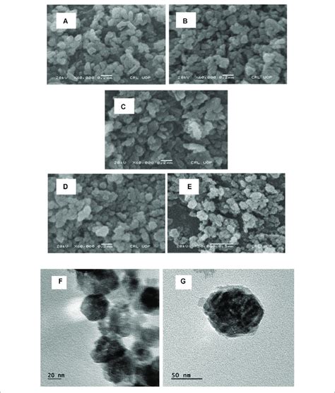 Sem Micrographs Of Pure Zno A And Mn Doped Zno [ B 1 C 2 5 Download Scientific