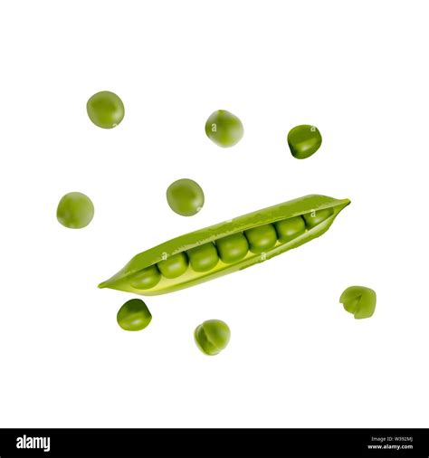 Colorful Realistic D Pod Of Ripe Green Peas Isolated On White