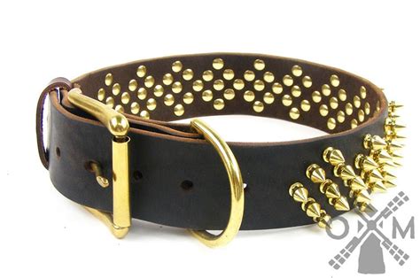 Elite Fully Spiked Leather Collar With Brass Spikes For Large Etsy