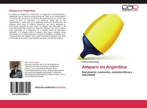 Amparo En Argentina 978 3 659 00345 5 365900345x 9783659003455 By