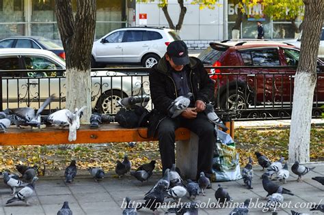 МираДом: Цветы уходящей осени. И голуби)))