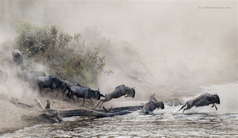 Highly Commended At Sony World Photography Awards Arnfinn