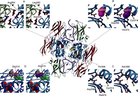 Seven Novel Mutations In The Factor Xiii A‐subunit Gene Causing Hereditary Factor Xiii