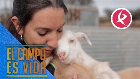 Ramos Pocos Y Lleg La Paridera De Las Cabras De Chabeli El Campo Es