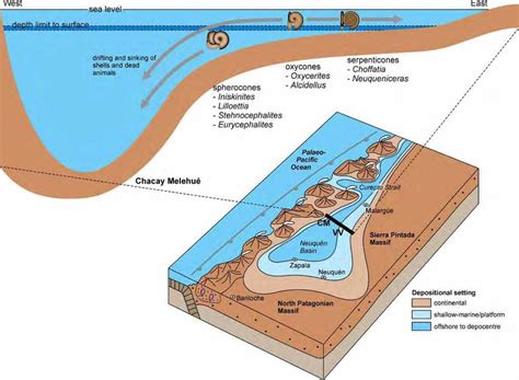 A Palaeogeographic Reconstruction For The Neuqu N Basin During The