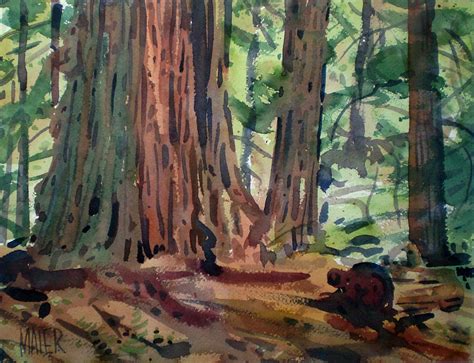 Redwoods Painting By Donald Maier