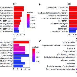 GO Functional And KEGG Enrichment Analysis Of ODEGs A Top Ten GO BP