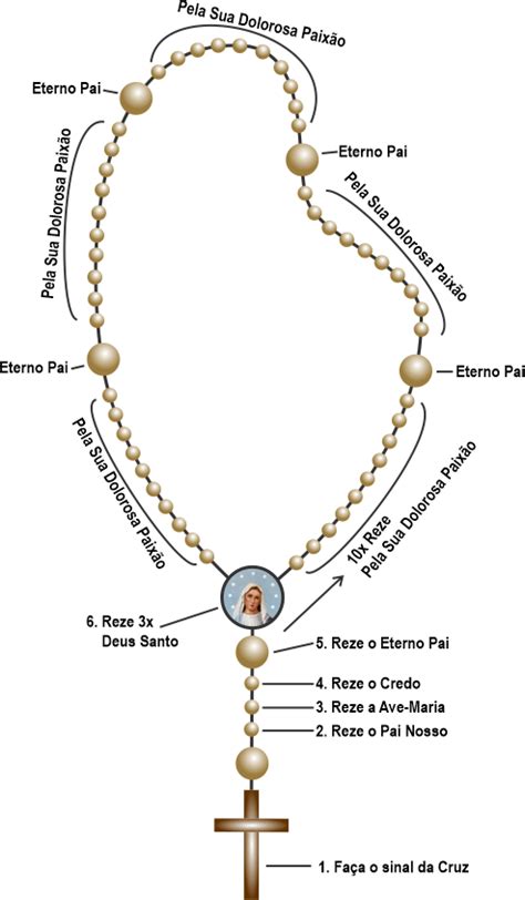 Como Rezar O Terco Da Divina Misericordia Passo A Passo Online Smarys Org