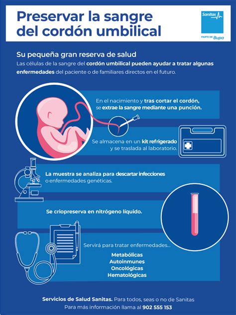 Conservar Las C Lulas Del Cord N Umbilical Razones Y Motivos