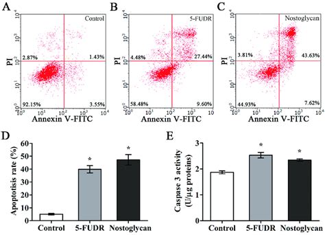 Effect Of Nostoglycan On Apoptosis And Caspase 3 Activation In Tumor Download Scientific