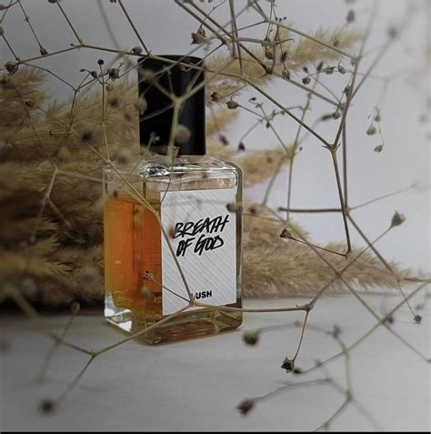 Breath Of God Lush perfume - a fragrance for women and men 2010