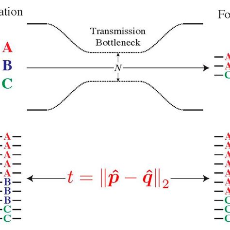 Modelling The Transmission Bottleneck The Transmission Bottleneck Of Download Scientific