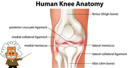 Knee Pain When Bending Here S How You Can Help It