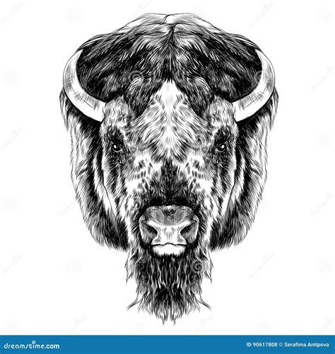 Buffalo Head Horn Of Set With Brown, Black And White Of Hand Drawing ...