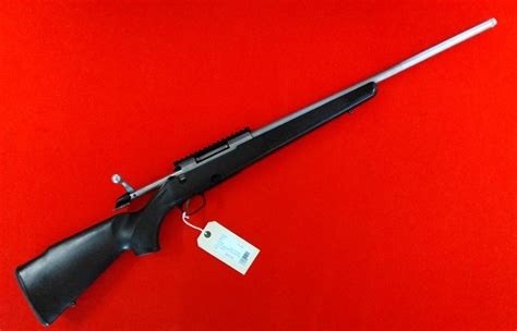 223 remington rifle - potvsera