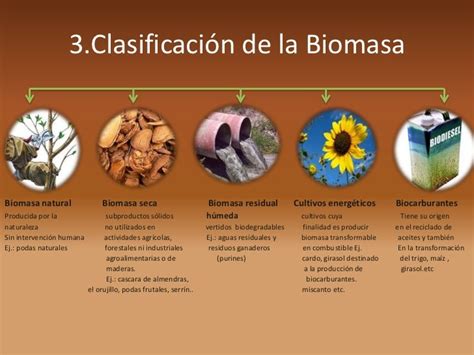 Biomasa