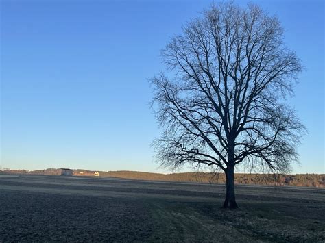 Sonnig Und Winterlich So Wird Das Wetter Am Sonntag Im Burgenland