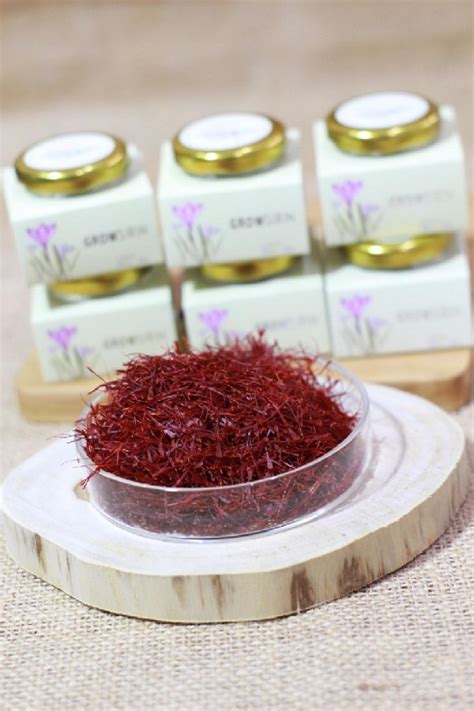 ANT Saffron Growsirin Irhani Indonesia