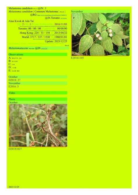 Pdf Melastoma Candidum In